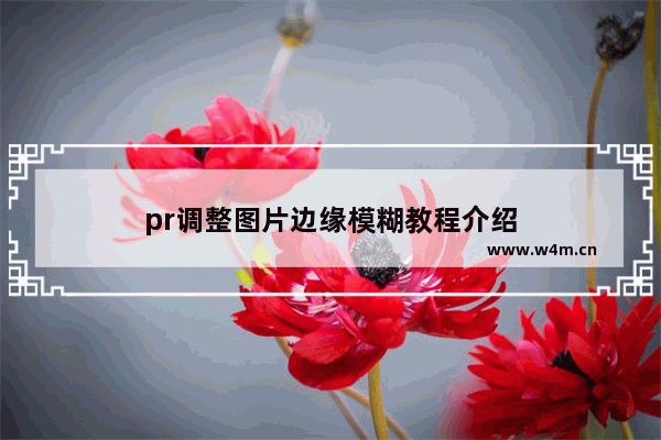 pr调整图片边缘模糊教程介绍