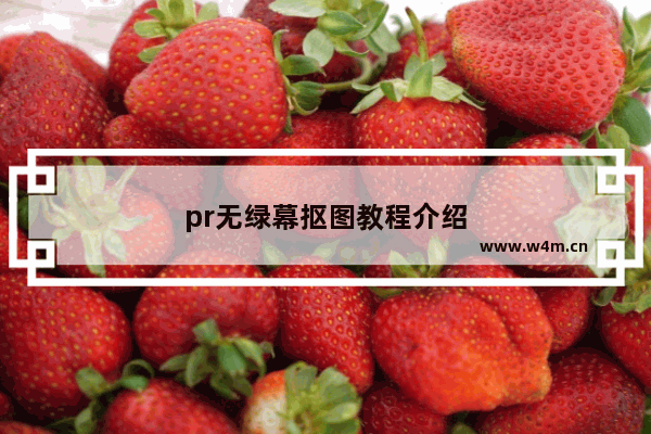 pr无绿幕抠图教程介绍