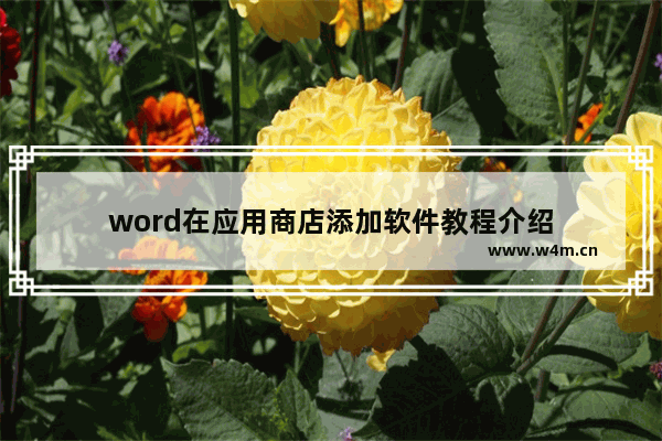 word在应用商店添加软件教程介绍