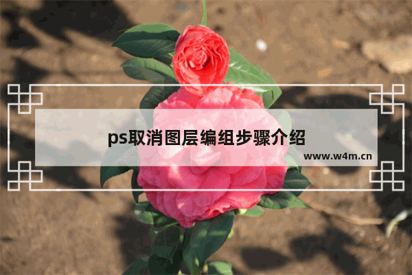 ps取消图层编组步骤介绍