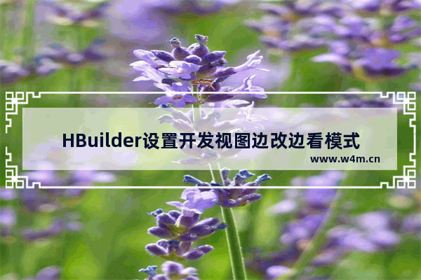 HBuilder设置开发视图边改边看模式流程分享