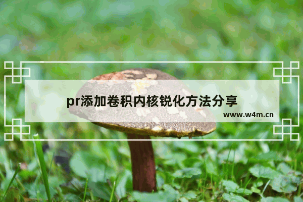 pr添加卷积内核锐化方法分享