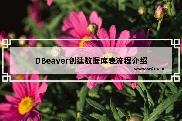 DBeaver创建数据库表流程介绍