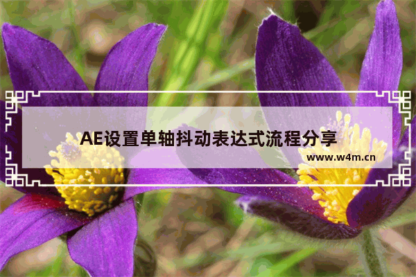 AE设置单轴抖动表达式流程分享