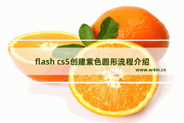 flash cs5创建紫色圆形流程介绍