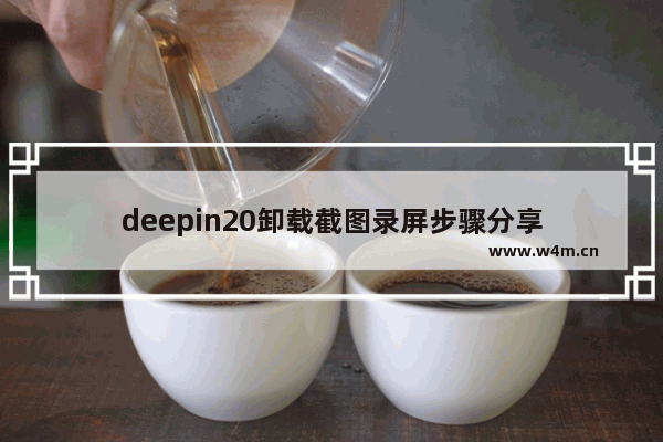 deepin20卸载截图录屏步骤分享