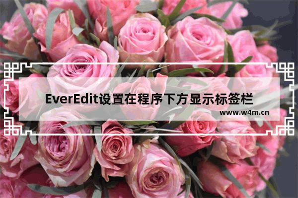 EverEdit设置在程序下方显示标签栏教程分享