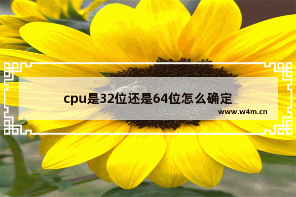 cpu是32位还是64位怎么确定