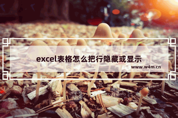 excel表格怎么把行隐藏或显示