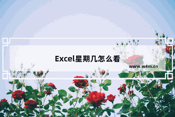 Excel星期几怎么看