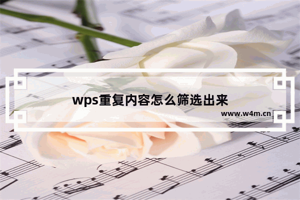 wps重复内容怎么筛选出来