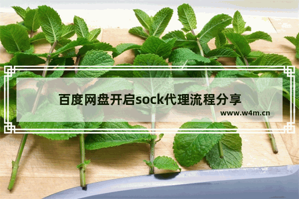 百度网盘开启sock代理流程分享