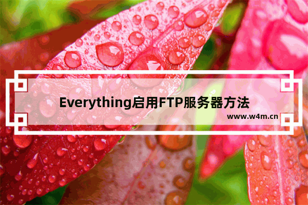 Everything启用FTP服务器方法分享