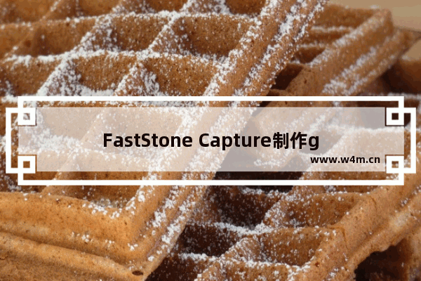 FastStone Capture制作gif图教程分享