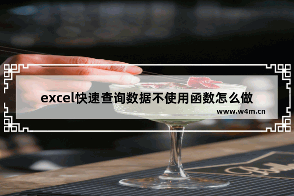 excel快速查询数据不使用函数怎么做