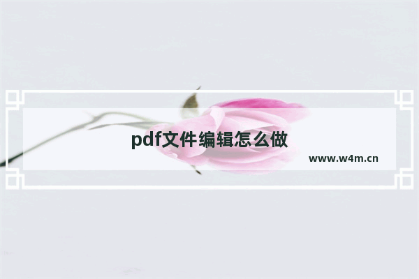 pdf文件编辑怎么做