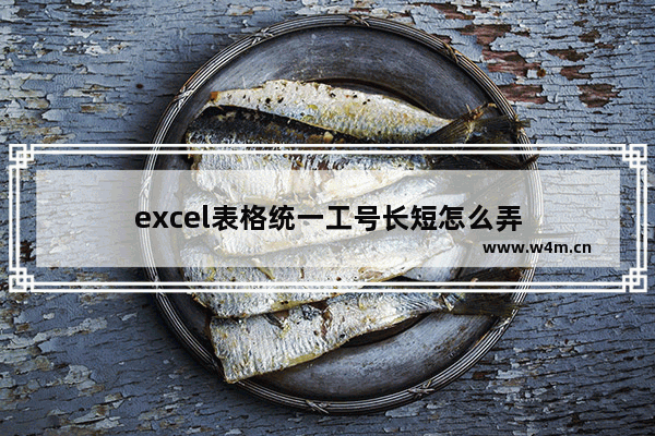 excel表格统一工号长短怎么弄