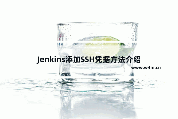 Jenkins添加SSH凭据方法介绍