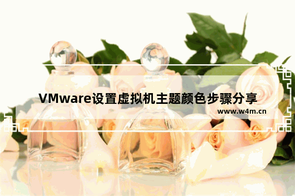 VMware设置虚拟机主题颜色步骤分享