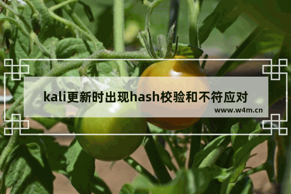 kali更新时出现hash校验和不符应对方法分享