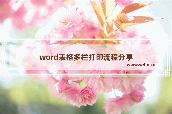 word表格多栏打印流程分享