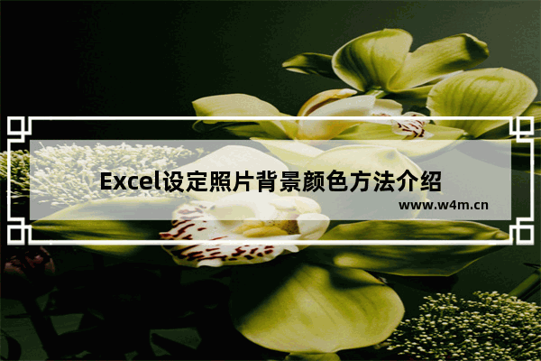 Excel设定照片背景颜色方法介绍