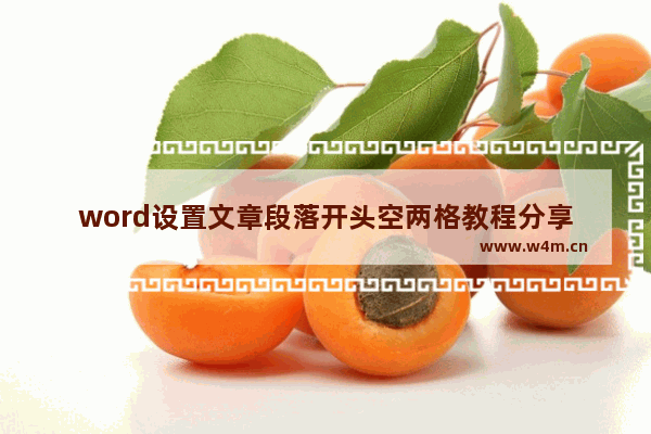 word设置文章段落开头空两格教程分享