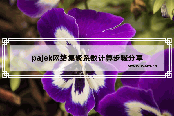 pajek网络集聚系数计算步骤分享