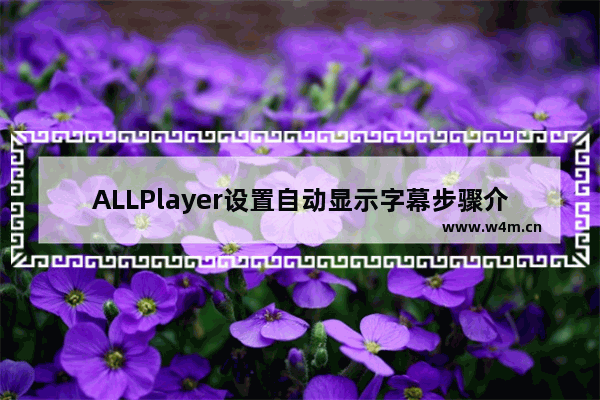 ALLPlayer设置自动显示字幕步骤介绍