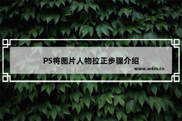 PS将图片人物拉正步骤介绍