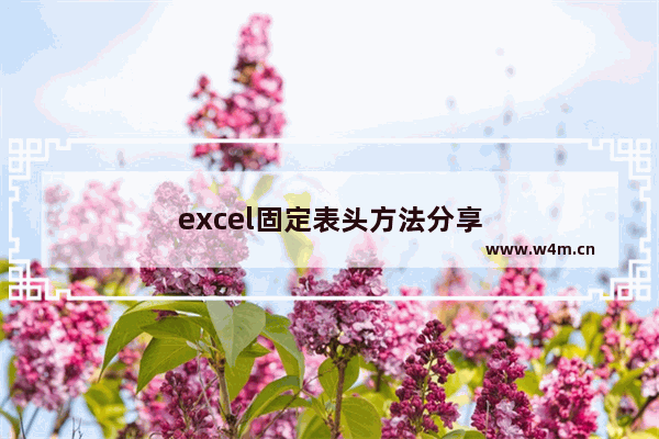 excel固定表头方法分享