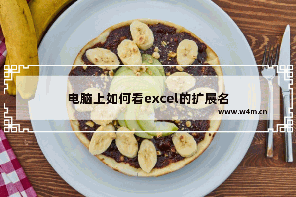 电脑上如何看excel的扩展名