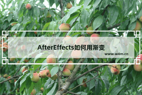 AfterEffects如何用渐变