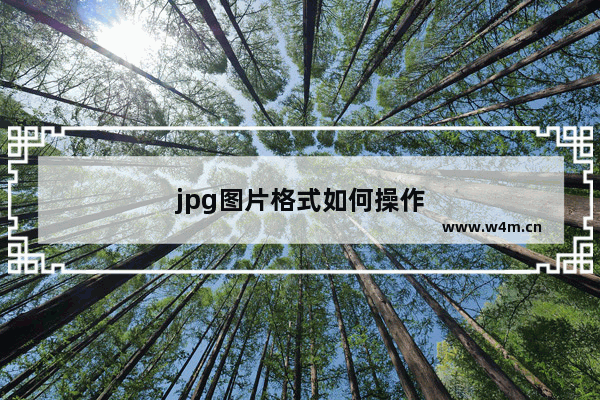 jpg图片格式如何操作