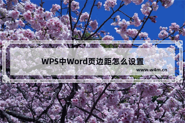 WPS中Word页边距怎么设置