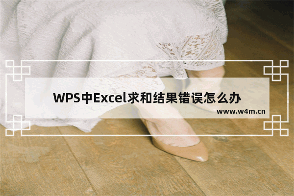 WPS中Excel求和结果错误怎么办