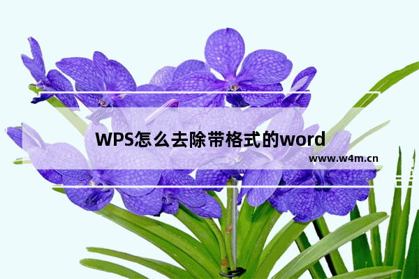 WPS怎么去除带格式的word