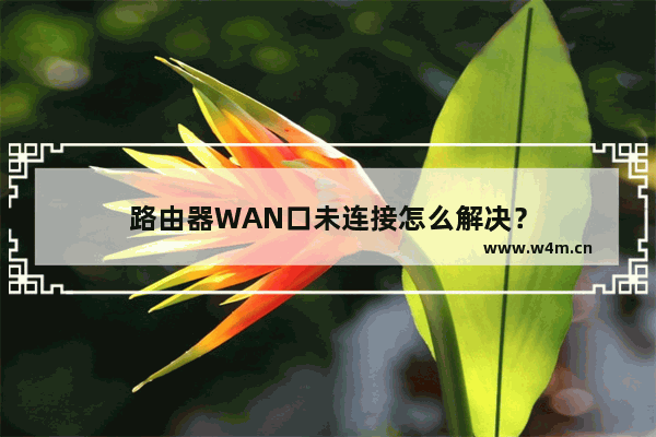 路由器WAN口未连接怎么解决？