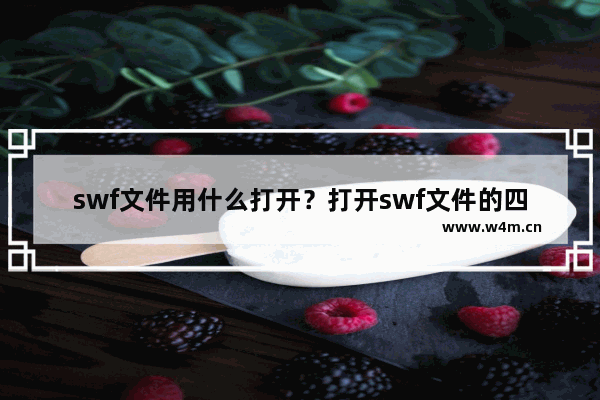 swf文件用什么打开？打开swf文件的四种方式