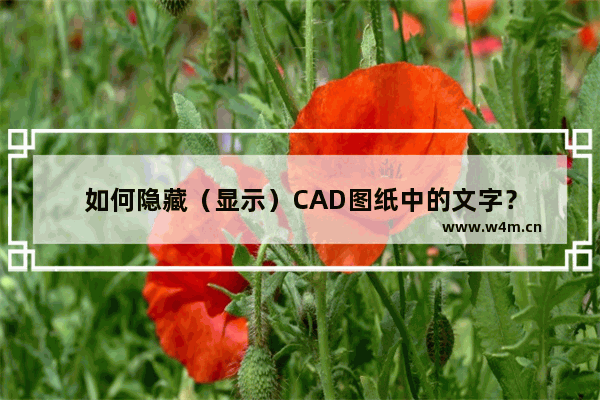 如何隐藏（显示）CAD图纸中的文字？