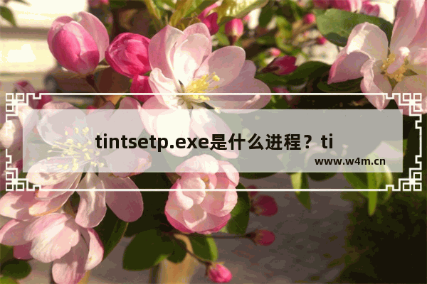 tintsetp.exe是什么进程？tintsetp.exe进程能关闭吗？