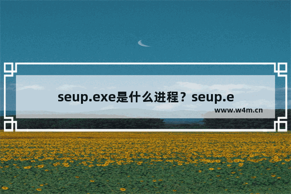 seup.exe是什么进程？seup.exe文件丢失损坏怎么办？