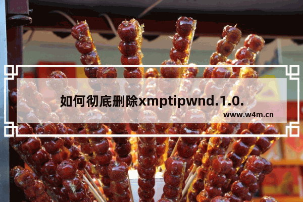 如何彻底删除xmptipwnd.1.0.0.10.exe进程？