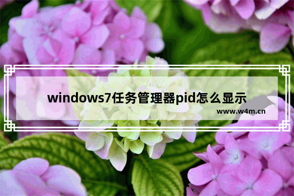 windows7任务管理器pid怎么显示出来？