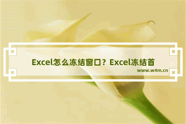 Excel怎么冻结窗口？Excel冻结首行和首列的方法