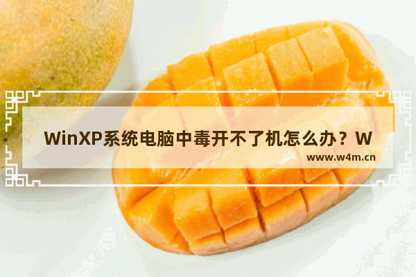 WinXP系统电脑中毒开不了机怎么办？WinXP系统电脑中毒开不了机的解决方法