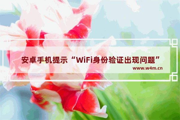 安卓手机提示“WiFi身份验证出现问题”怎么解决？