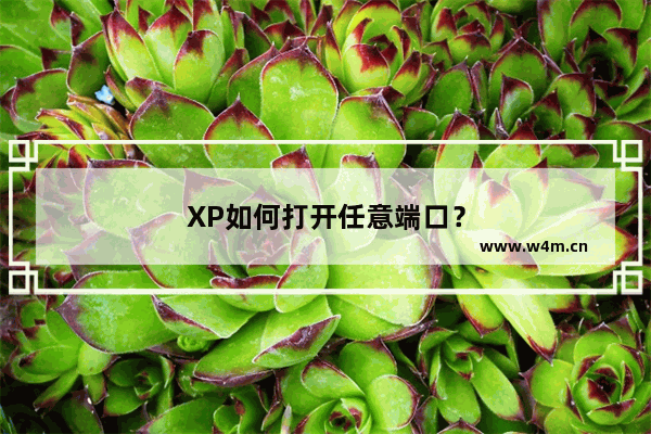 XP如何打开任意端口？