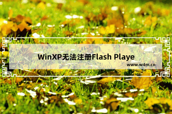 WinXP无法注册Flash Player的Activex控件怎么办？