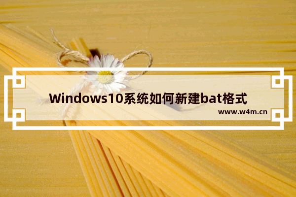 Windows10系统如何新建bat格式文件？